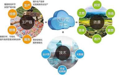 他山之石可以攻玉 借鑒美國農業信息化經驗，以信息技術咨詢服務升級中國農民